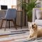 Tips For A Clean House With A Messy Dog